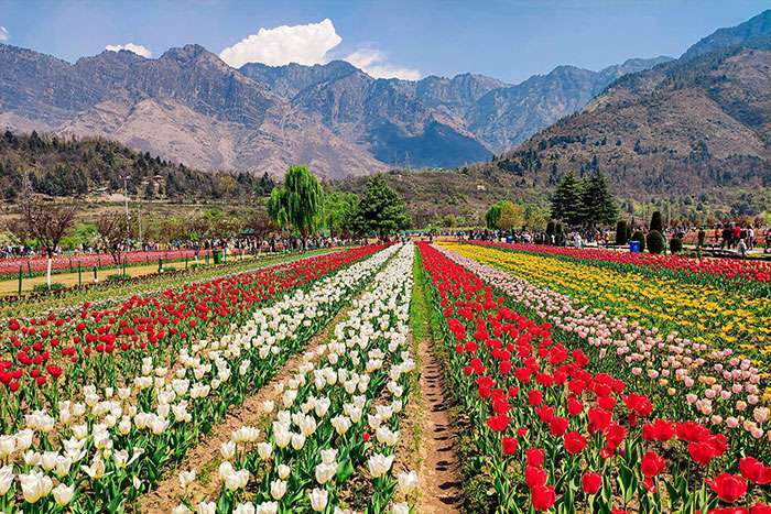 Beautiful kashmir through Rana Pandey’s lens