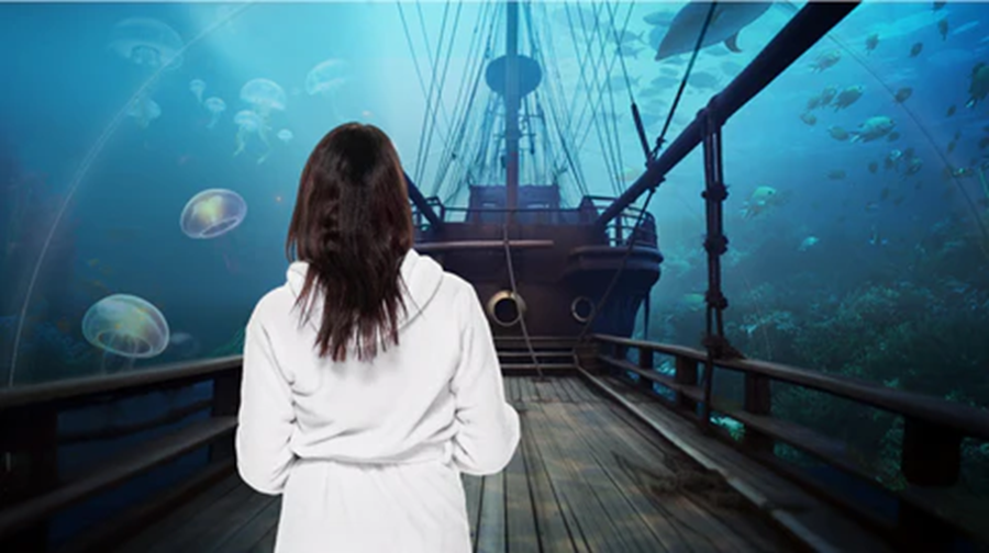 Immersive Escape at Spa Dome: A Unique Polysensory Experience
