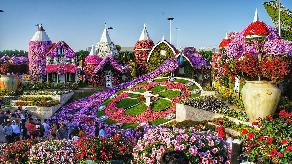 Miracle Garden named the world’s 9th most Instagrammable flower gardens