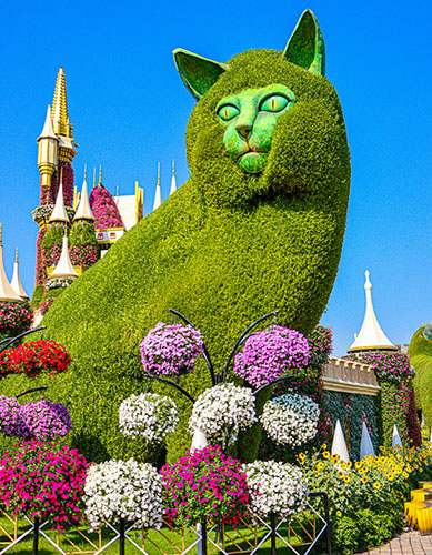 Miracle Garden named the world’s 9th most Instagrammable flower gardens