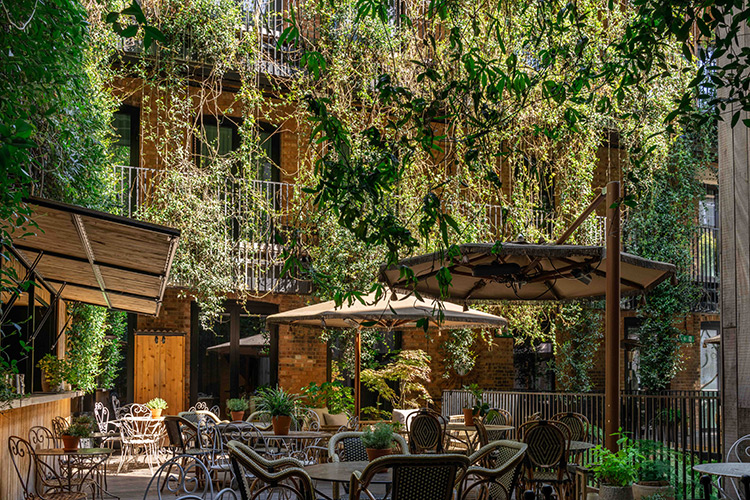 Step into a Mysterious World at The Mandrake: London’s Most Unique Hotel
