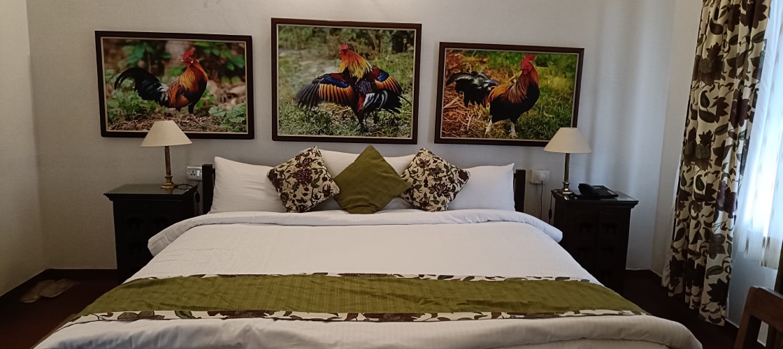 Glasshouse on The  Ganges:Tranquility amidst wilderness 