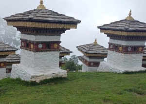 Bhutan Travel Guide: Why Bhutan Should Be Your Next Adventure 8 4