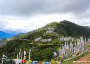Bhutan Travel Guide: Why Bhutan Should Be Your Next Adventure 9 5