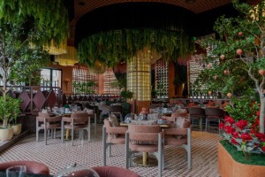 Anardana opens its biggest outlet in Noida 2 12